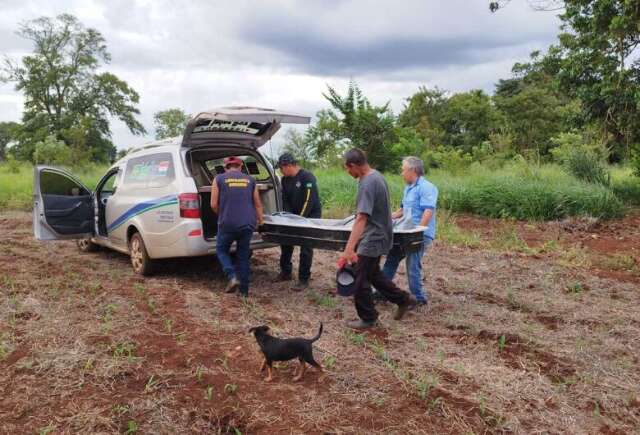 Ap&oacute;s bebedeira, rapaz &eacute; encontrado morto, sob suspeita de espancamento 