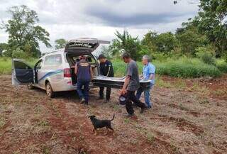 Funerária colocando vítima em carro após trabalhos da perícia. (Foto: Osvaldo Duarte)