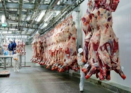 MS tem 11 dos 38 frigoríficos habilitados para exportar carnes à China
