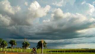 Tempo nublado registrado no Aeroporto de Campo Grande (Foto: Alex Machado) 