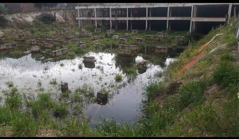 Terreno com obra abandonada acumula água parada e vira piscinão da dengue 