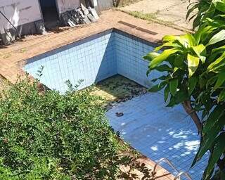 Piscina com água parada em casa na Vila Bandeirantes (Foto: Direto das Ruas)
