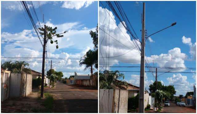 Ap&oacute;s dois anos, poste de madeira onde &aacute;rvore crescia &eacute; trocado