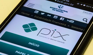 Usuário acessa portal de introdução do Pix, pelo aparelho celular. (Foto: Arquivo/Agência Brasil)