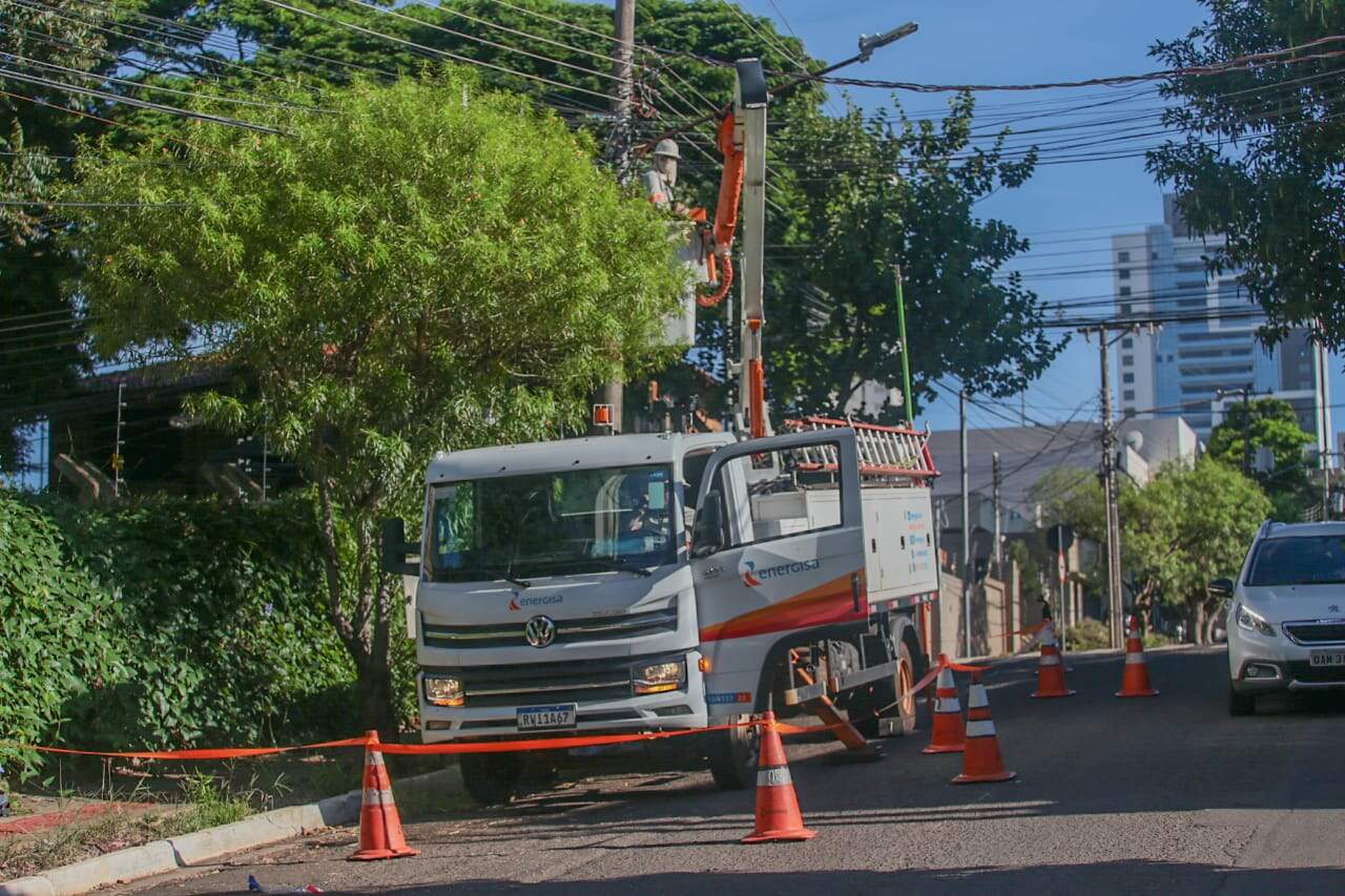 Pássaro na rede provocou rompimento de cabos e falta de luz em Campo Grande