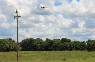 Drone sendo usado para fiscalizar rede de distribuição de energia em área rural do Pantanal (Foto: Divulgação/Agems)