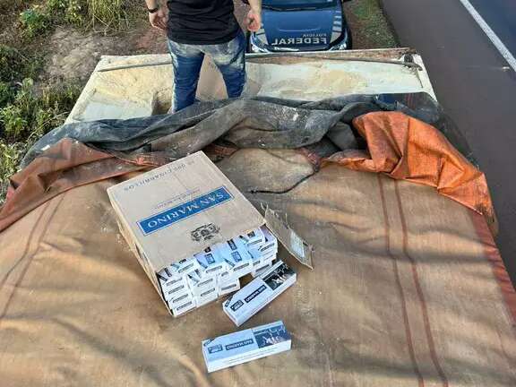 Carga com 800 caixas de cigarro &eacute; interceptada em meio a farelo