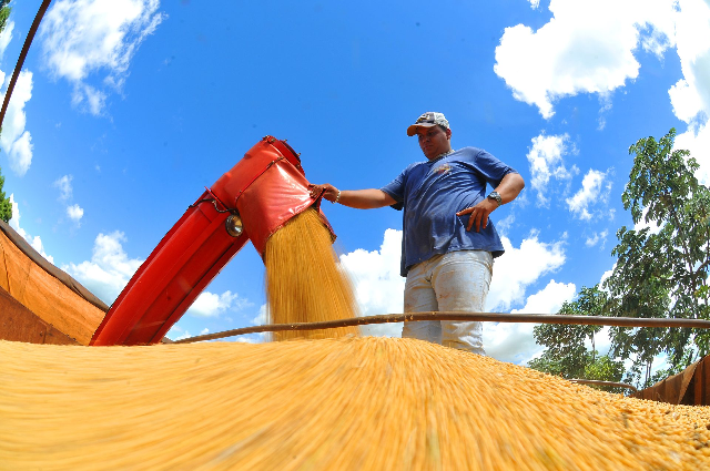 MS teve o 3&ordm; maior crescimento econ&ocirc;mico do Brasil, aponta BB