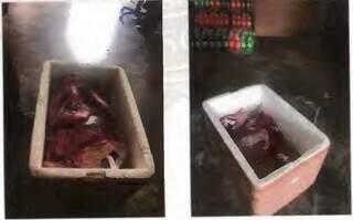 Carne apreendida em cantina da Máxima em 2018 pela Agência Penitenciária. (Foto: Reprodução)