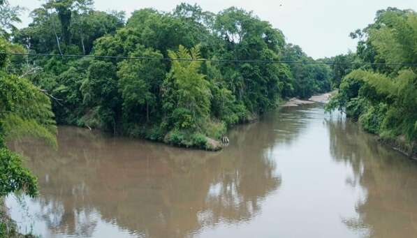ONG identifica veneno que causa c&acirc;ncer em bacia do Pantanal