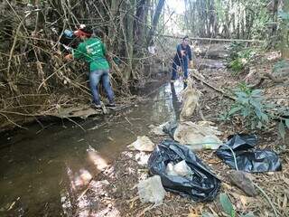Mutirão retira lixos dos rios urbanos de Bonito (Foto: divulgação IASB)