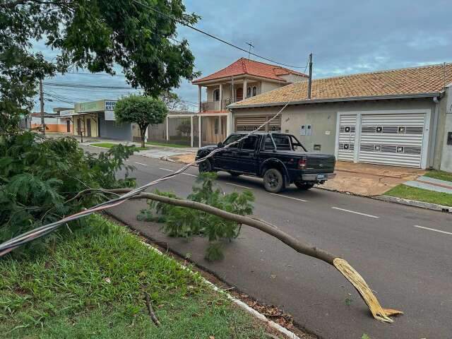 Vento forte derruba &aacute;rvore em cima de fia&ccedil;&atilde;o e deixa casas sem energia 