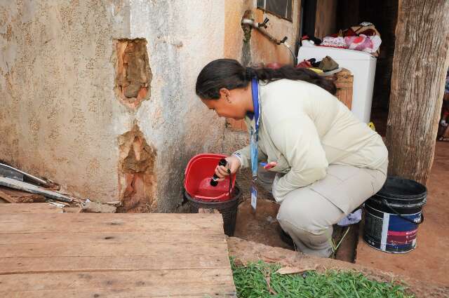 A&ccedil;&atilde;o de combate ao mosquito da dengue &eacute; intensificada na Capital