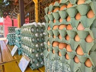 Cartela com 30 ovos sendo vendida em estabelecimento no bairro Guanandi (Foto: Marcos Maluf)