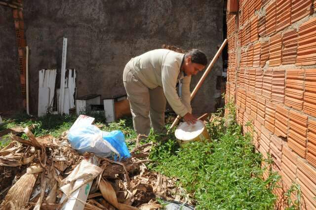 Prefeitura registrou aumento de 376% nas notifica&ccedil;&otilde;es de terreno sujo em 2024