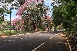 Trecho da Avenida Ricardo Brandão, em Campo Grande, está liberado (Foto: Henrique Kawaminami)