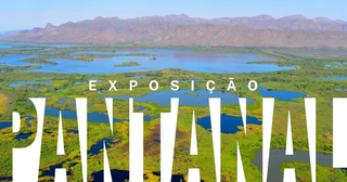 Exposição reúne vídeos e fotografias sobre o Pantanal. (Foto: Divulgação)