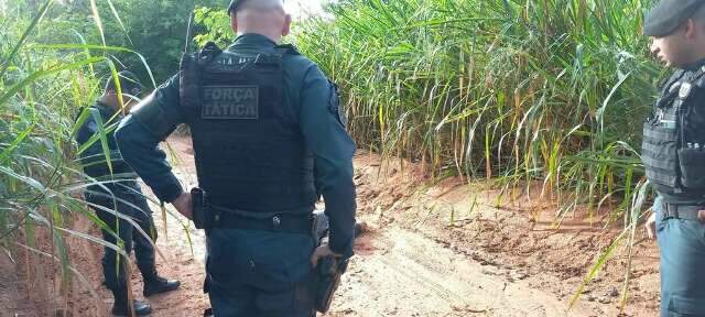 Homem tem cr&acirc;nio quebrado e &eacute; encontrado morto em estrada