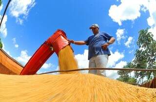 Colheita de soja em área rural de Mato Grosso do Sul (Foto: Álvaro Rezende)