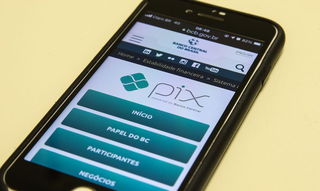 Usuário acessa o portal oficial do Pix no aparelho celular. (Foto: Marcello Casal Jr./Agência Brasil)