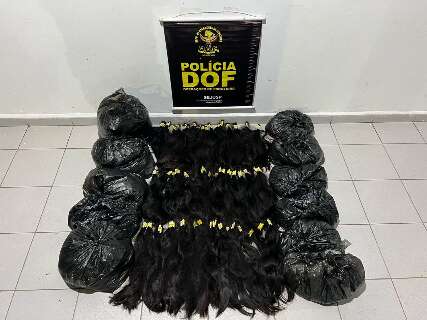 DOF apreende casal com mais de 40 kg de cabelo humano avaliado em R$ 440 mil