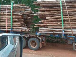 Caminhão carregado com madeira na estrada (Foto: Direto das Ruas)