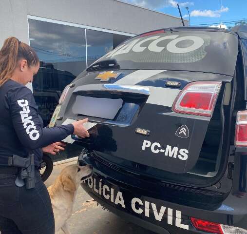 Homem que matou duas pessoas queimadas em SP &eacute; preso em MS