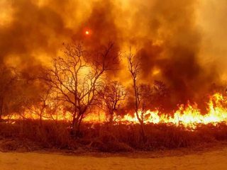 Incêndio florestal em vegetação nativa do Pantanal. (Foto: Arquivo/Campo Grande News)