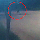 Vídeo mostra momento em que rapaz é executado a tiros por ocupantes de carro 
