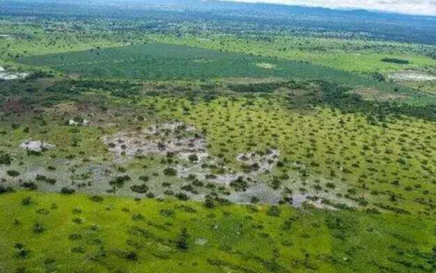 Governo convoca empresas para adequa&ccedil;&otilde;es &agrave; Lei do Pantanal
