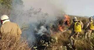 Bombeiros combatendo incêndios no Pantanal (Foto: Divulgação/Corpo de Bombeiros)
