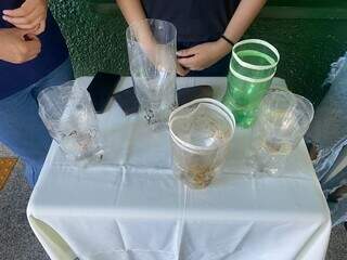 As armadilhas feitas pelos alunos usam garrafa pet, ração, água potável e água sanitária (Foto: Clara Farias)