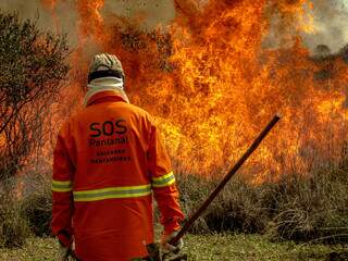 Bombeiro, com roupa escrito &#34;SOS Pantanal&#34;, atuando contra fogo no Pantanal (Foto: Divulgação/SOS Pantanal)