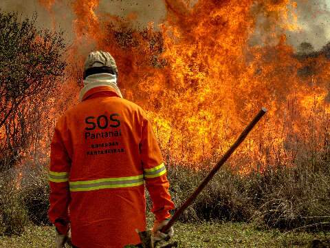 Emergência ambiental autoriza corredor de 50 metros para queimas prescritas