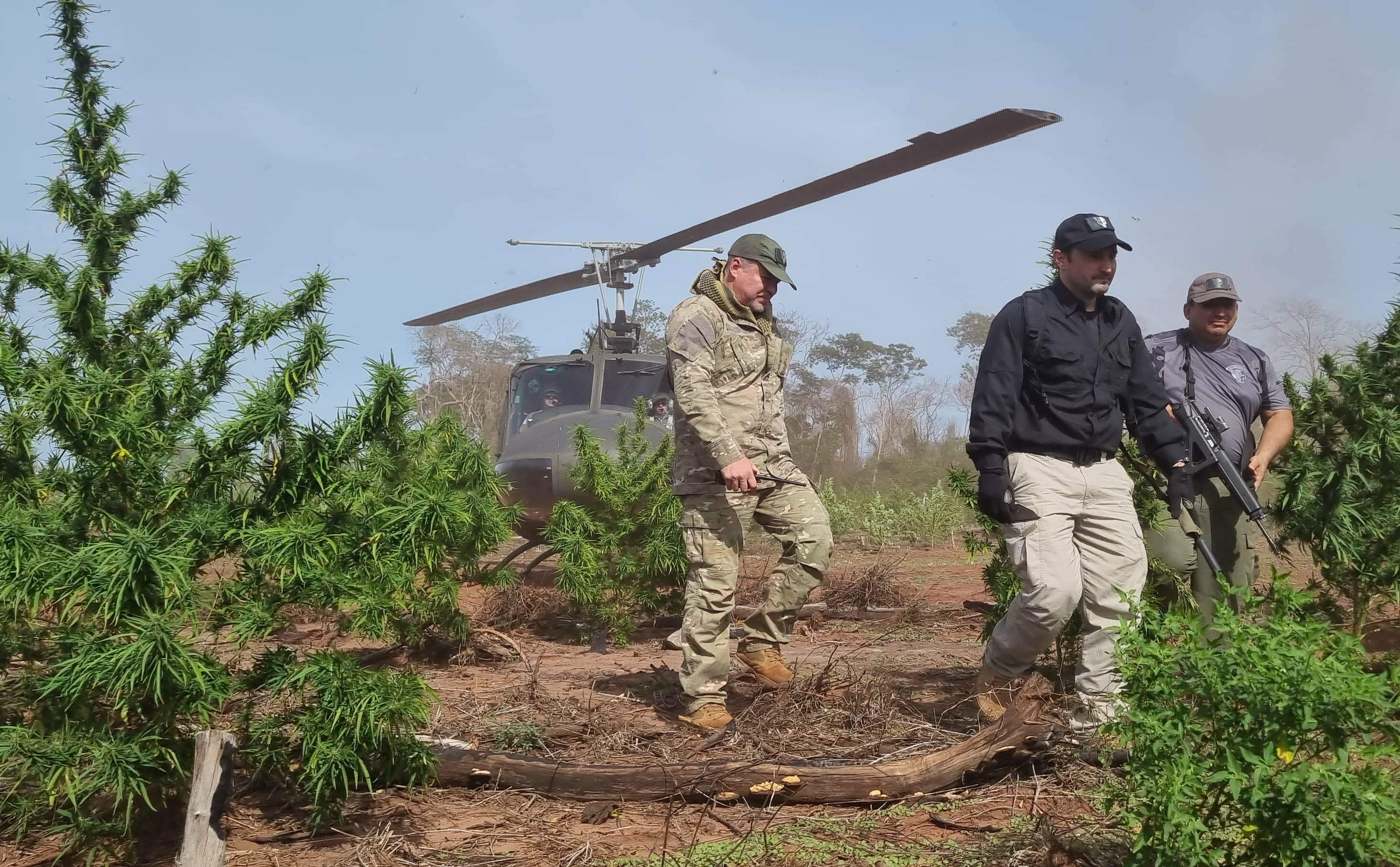 De helicóptero, ministro chega a áreas de combate a lavouras de maconha