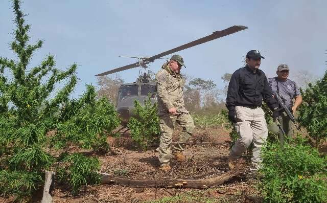 De helic&oacute;ptero, ministro chega a &aacute;reas de combate a lavouras de maconha