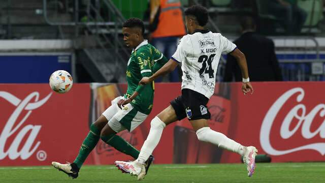 Palmeiras encerra rodada da Libertadores com vit&oacute;ria em casa