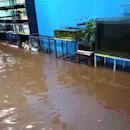Durante tempestade, água invade pet shop no Caiobá
