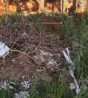 Galhos e lixo, no terreno abandonado, próximo a casa de Luciana (Foto: Direto das Ruas)