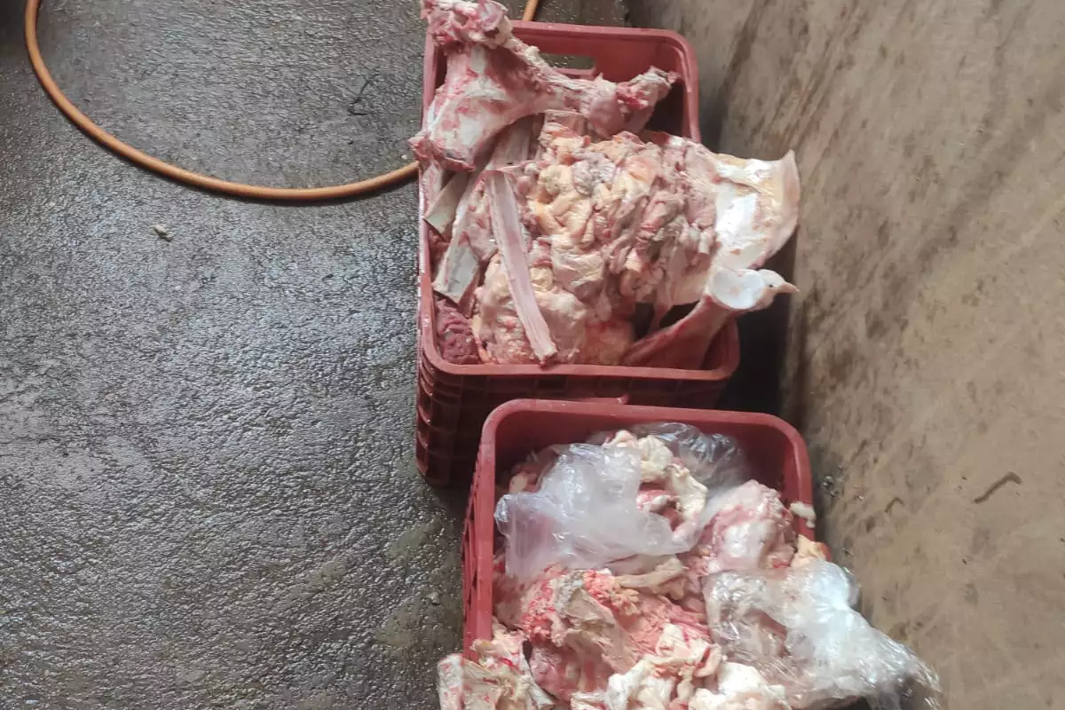 Comerciante é flagrado vendendo 850 kg de carne podre e com insetos