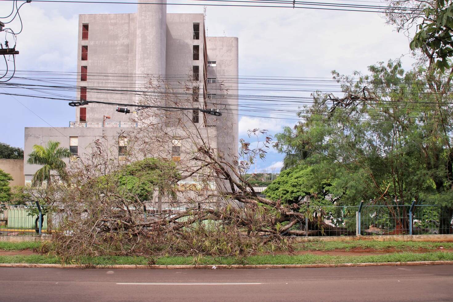 Árvore cai e destrói parte da grade do Hospital Regional