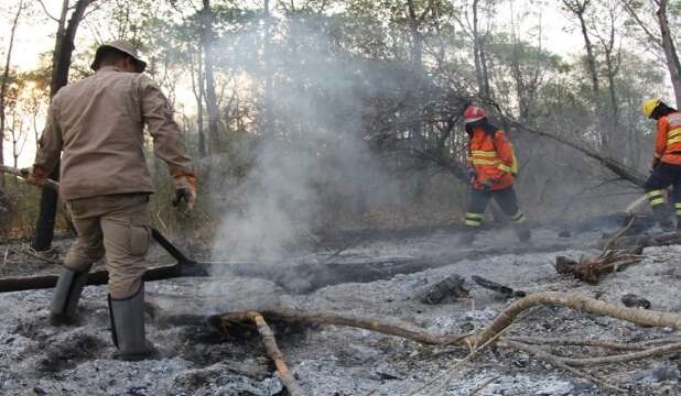 Após 4 anos do maior incêndio, estados &#34;amadureceram&#34; para acordo pelo Pantanal