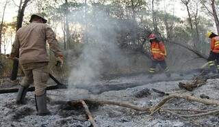 Combate a queimadas no Pantanal, em 2020 (Foto: Chico Ribeiro)