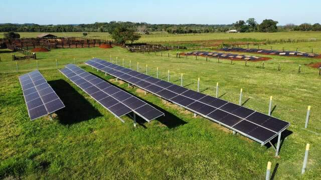 Fazenda solar: a produ&ccedil;&atilde;o de energia sustent&aacute;vel que ganha espa&ccedil;o em MS