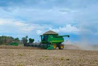 Expectativa de colheita da soja foi prejudicada pela queda na produtividade e agricultores ficaram endividados (Foto: Arquivo Aprosoja)
