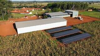Cana-de-açucar dá espaço a painéis solares em fazenda de Rio Brilhante (Foto: Rafael Brunetto)