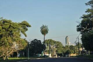 Céu de Campo Grande amanheceu limpo neste domingo (21) (Foto: Paulo Francis)