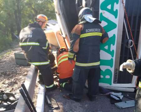 Caminhão carregado de compensado de madeira tomba e criança de 5 anos morre  