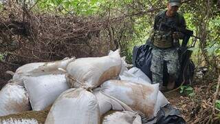 Militar paraguaio arrasta bolsas de maconha para incineração no meio da mata (Foto: Divulgação)