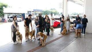 Cachorros e donos durante manifestação em frente ao Aeroporto Internacional de Campo Grande (Foto: Alex Machado)